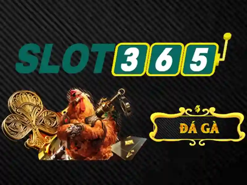 Giới thiệu về Slot365