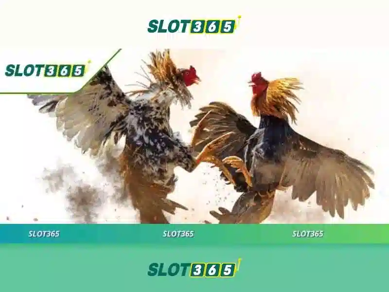 Slot365 - Nền tảng trò chơi xèng trực tuyến