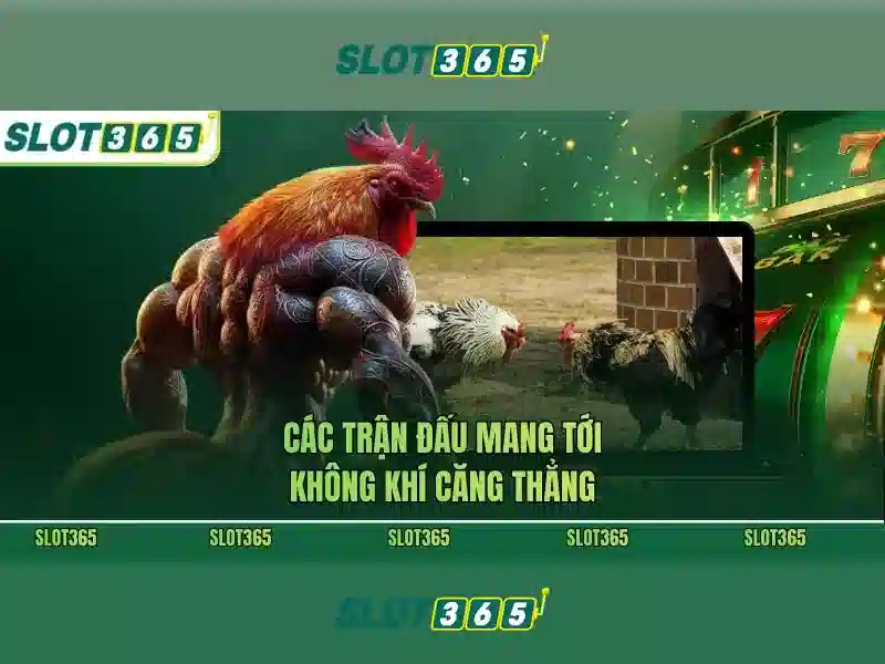 Trải nghiệm người chơi tại Slot365