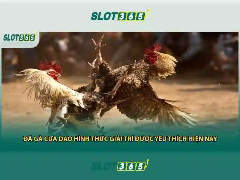 slot365 là gì – Tổng quan chủ đề và giá trị cốt lõi