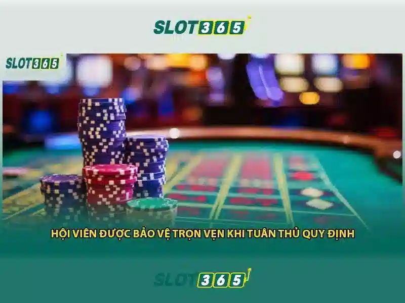 Giao diện người dùng và trải nghiệm