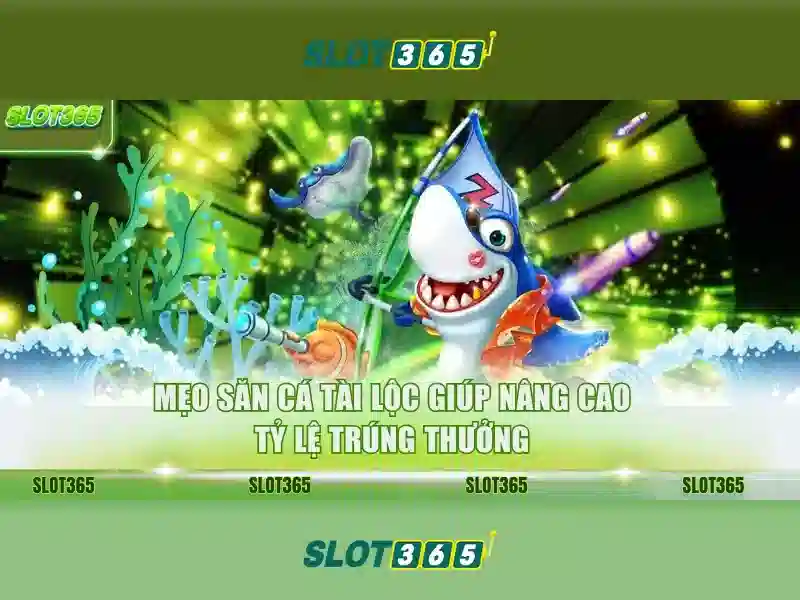 Slot365 là gì và trải nghiệm cược trực tuyến