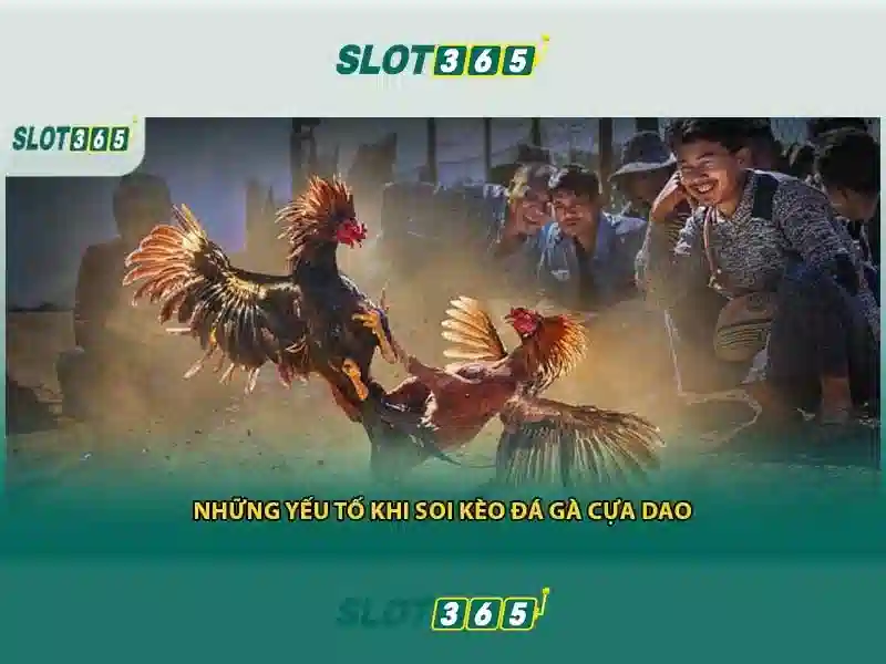 Sản phẩm và dịch vụ cốt lõi của Slot365 free