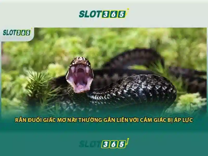 slot365-rng-verification