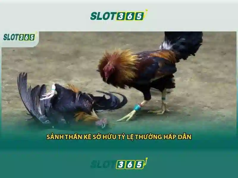 Slot365: Nền tảng slot trực tuyến an toàn và đầy đủ