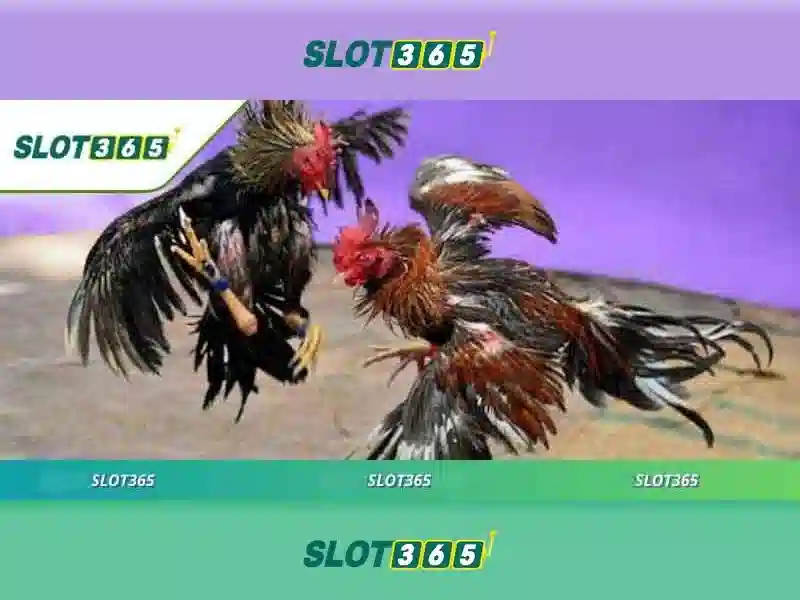 Slot365 là gì