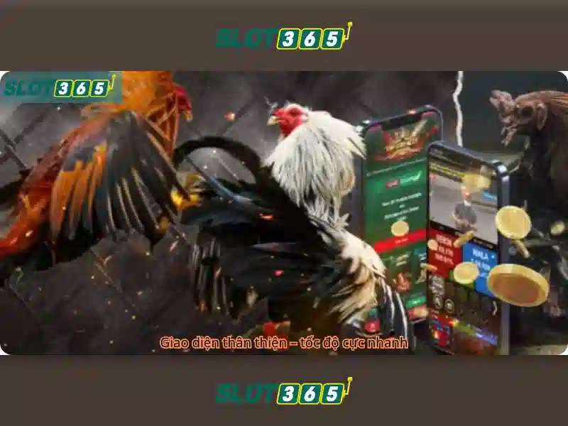 Slot365: Nền tảng trò chơi máy đánh bạc trực tuyến