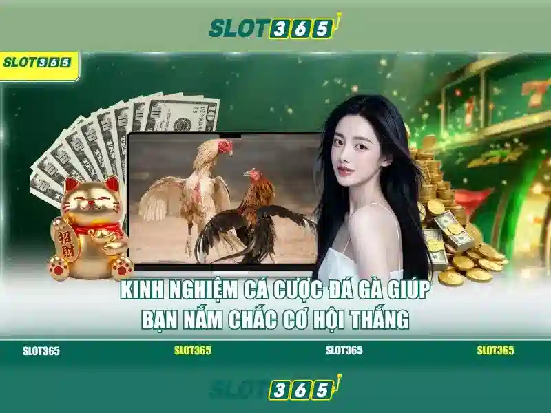 Slot365: Khám phá nền tảng casino trực tuyến hàng đầu