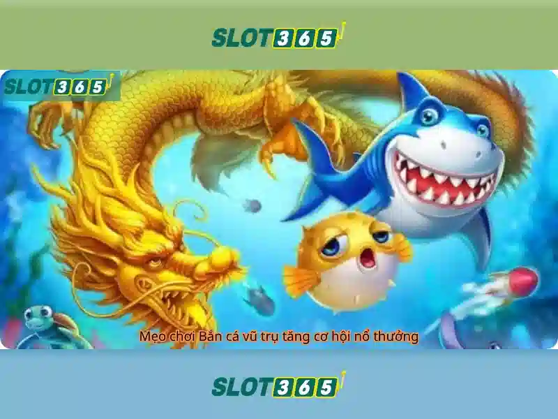 Slot365 - Tổng quan về nền tảng máy quay xèng trực tuyến