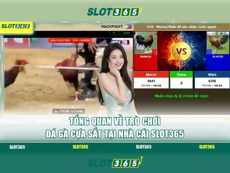 Slot365 - Nền tảng xèng trực tuyến an toàn và thú vị