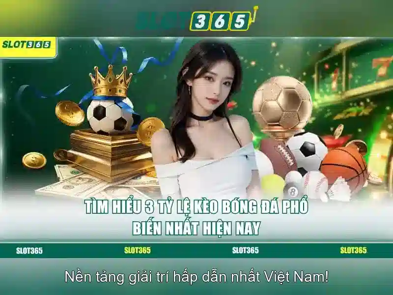 Trải nghiệm người dùng và thiết kế thân thiện