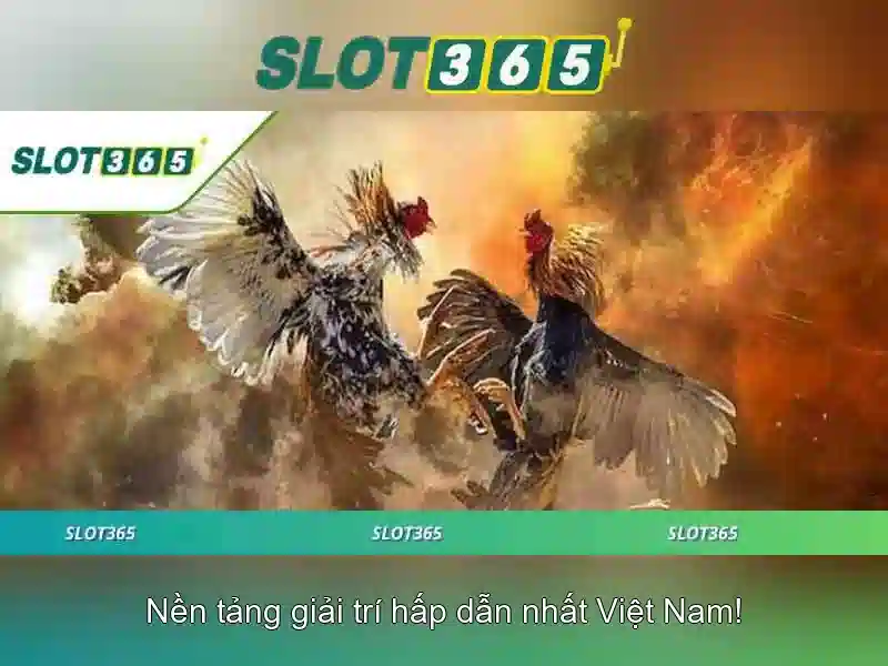 Slot365 – Trải nghiệm casino trực tuyến đỉnh cao