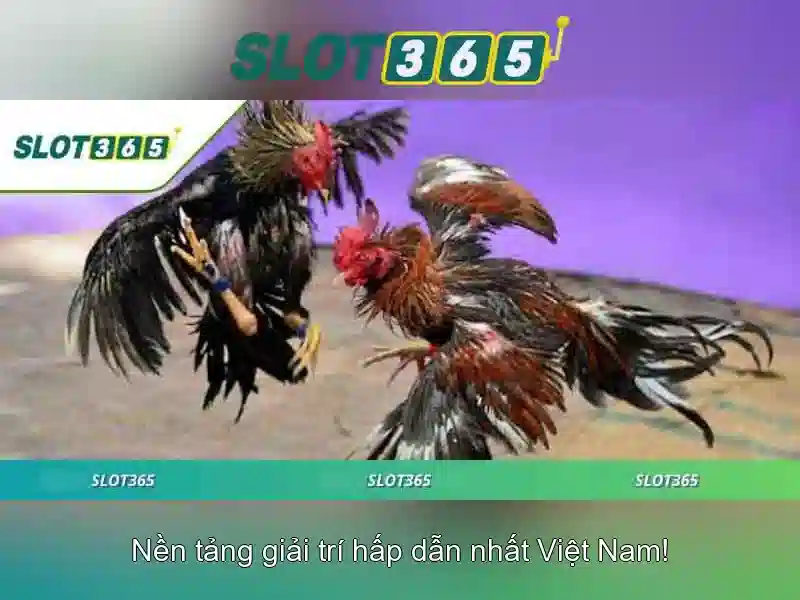Hỗ trợ khách hàng và cộng đồng