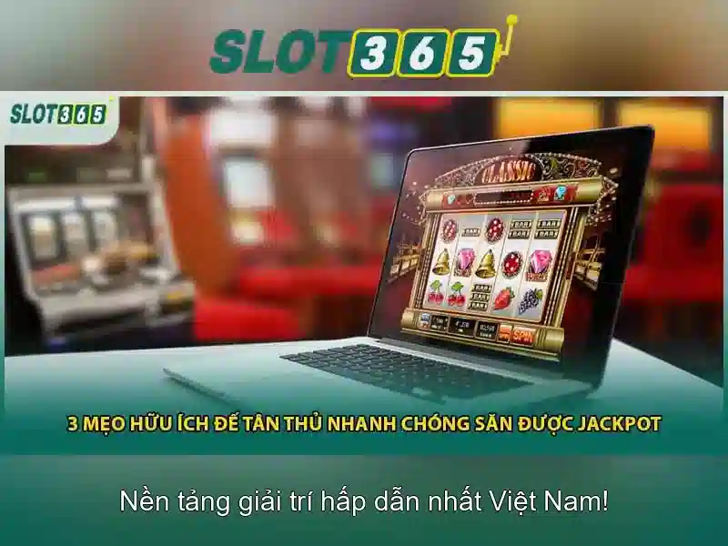 Trải nghiệm người dùng và thiết kế