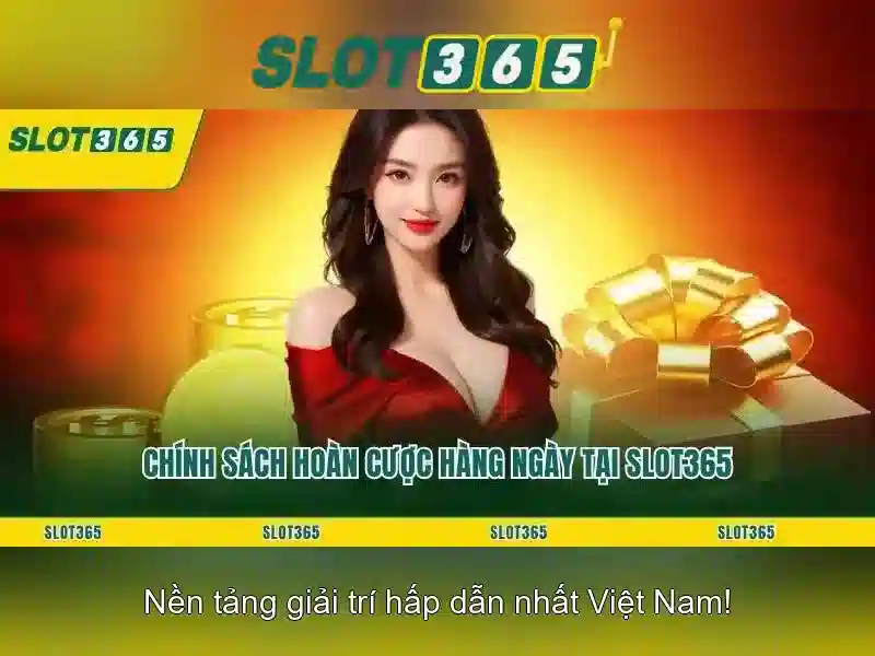 Giao diện và trải nghiệm người dùng