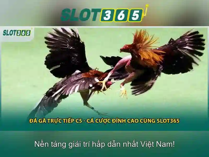 An toàn và hỗ trợ khách hàng