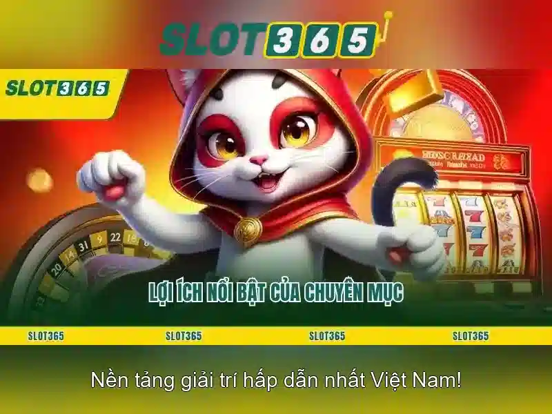 Khuyến mãi và thanh toán