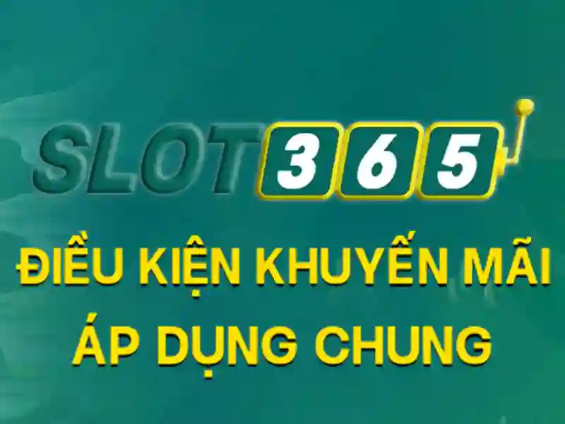 Giao diện người dùng và trải nghiệm di động