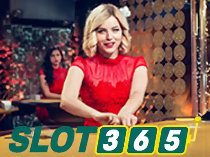 Slot365 - Đánh giá giao diện và trải nghiệm người dùng
