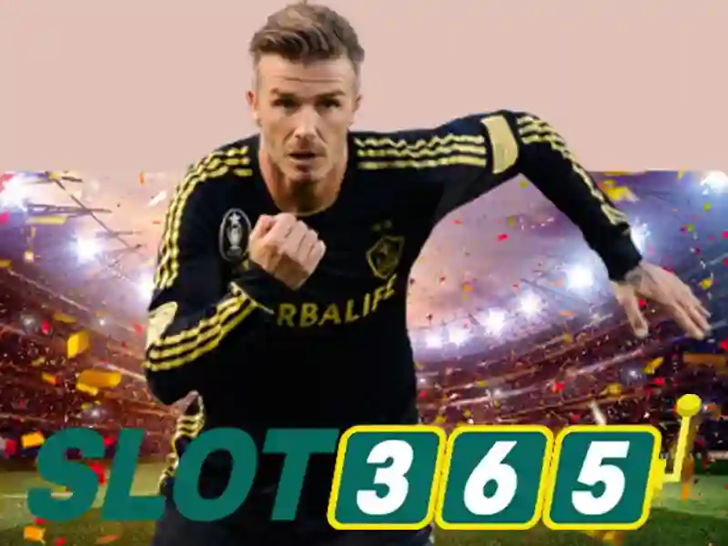 Slot365 – Nền tảng máy xèng trực tuyến