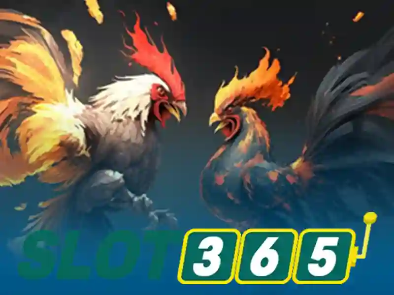 Slot365: Đánh giá và hướng dẫn chơi slot trên nền tảng trực tuyến