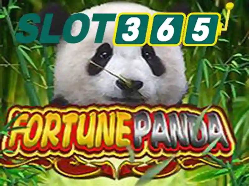 asia slot365: trải nghiệm và đánh giá Slot365