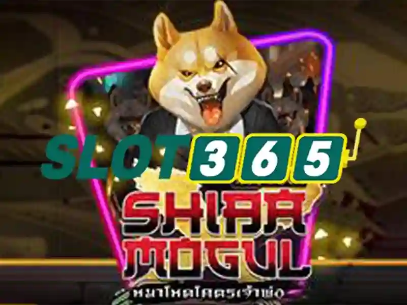slot365 .com – Nền tảng cá cược hiện đại và uy tín